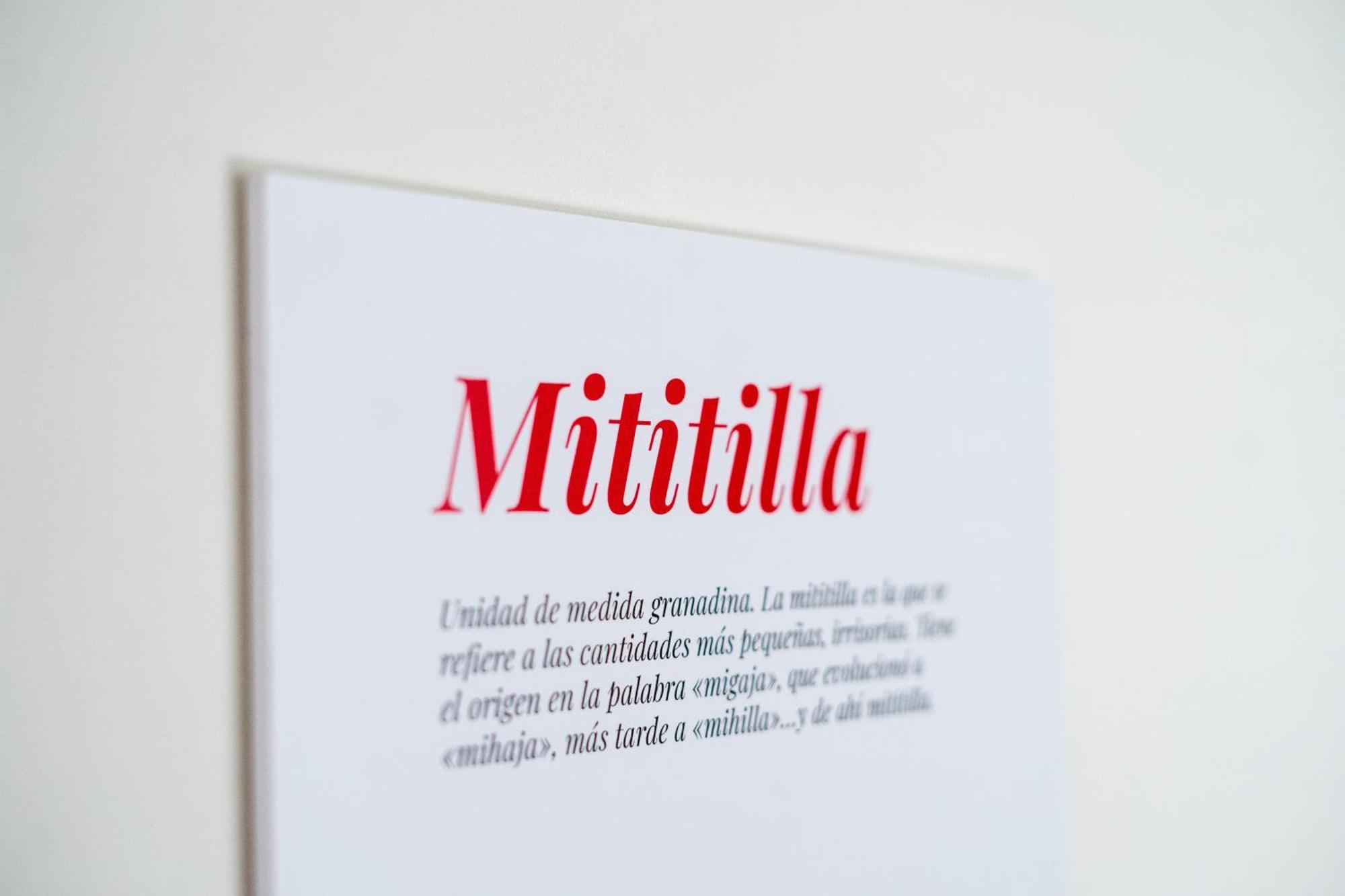 Apartamento Moderno En El Centro De Granada - Mititilla Luaran gambar